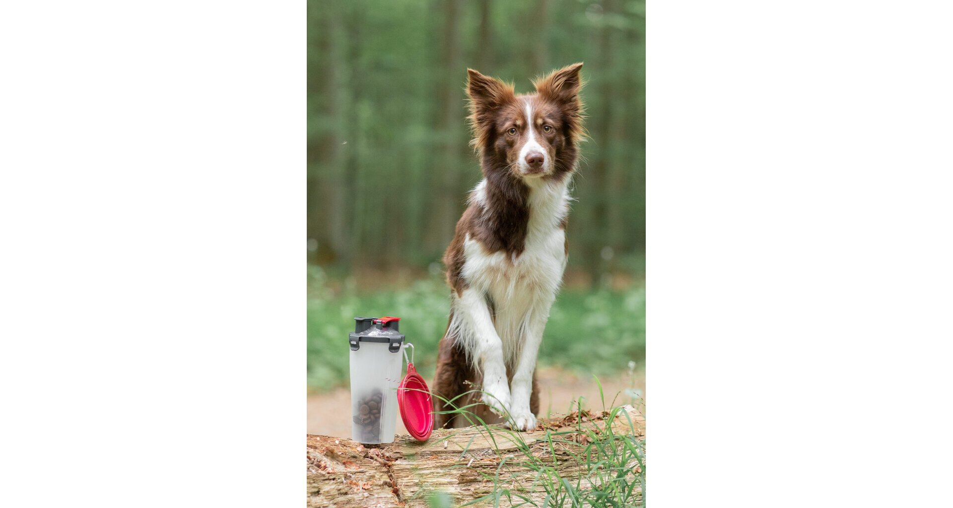 Cestovní zásobník na vodu a krmivo 07